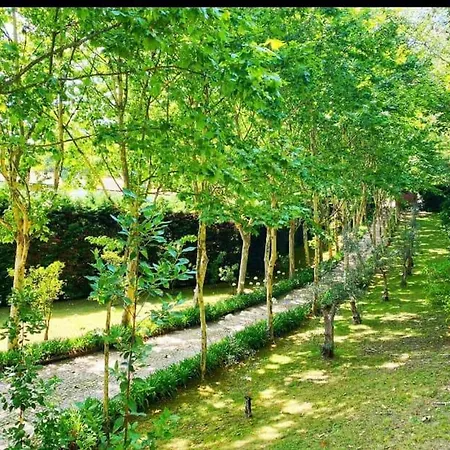 Hébergement de vacances Farm Paradise In Douro 10 People