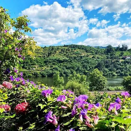 Farm Paradise In Douro 10 People Hébergement de vacances Baião