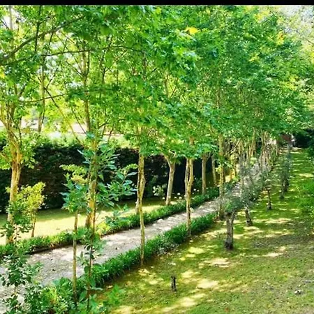 Farm Paradise In Douro 10 People Hébergement de vacances *