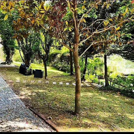Farm Paradise In Douro 10 People
